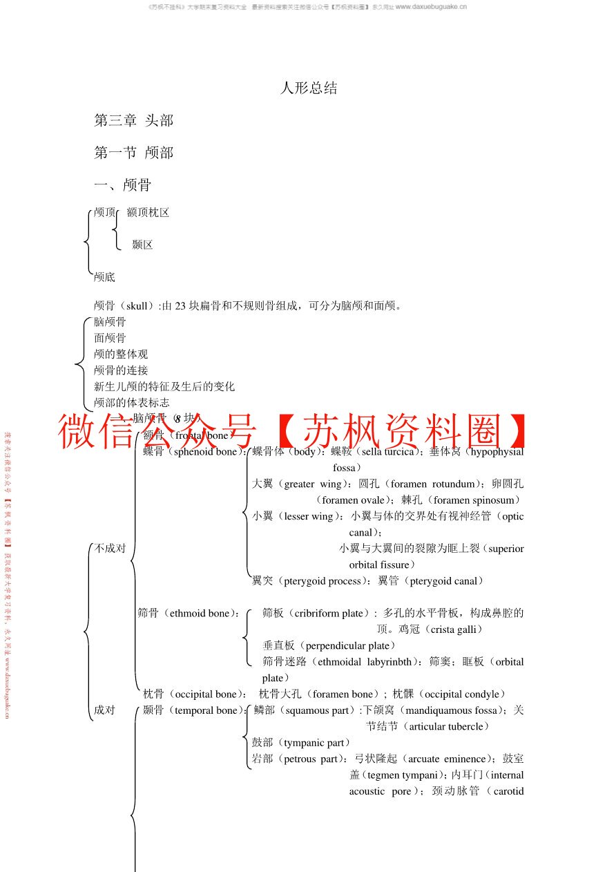 人体形态学(更新)